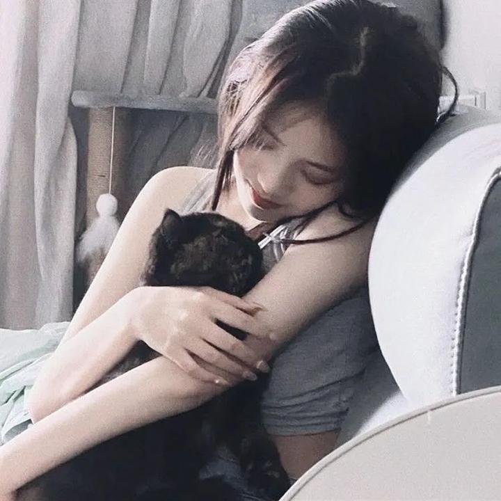 特种兵之火凤凰